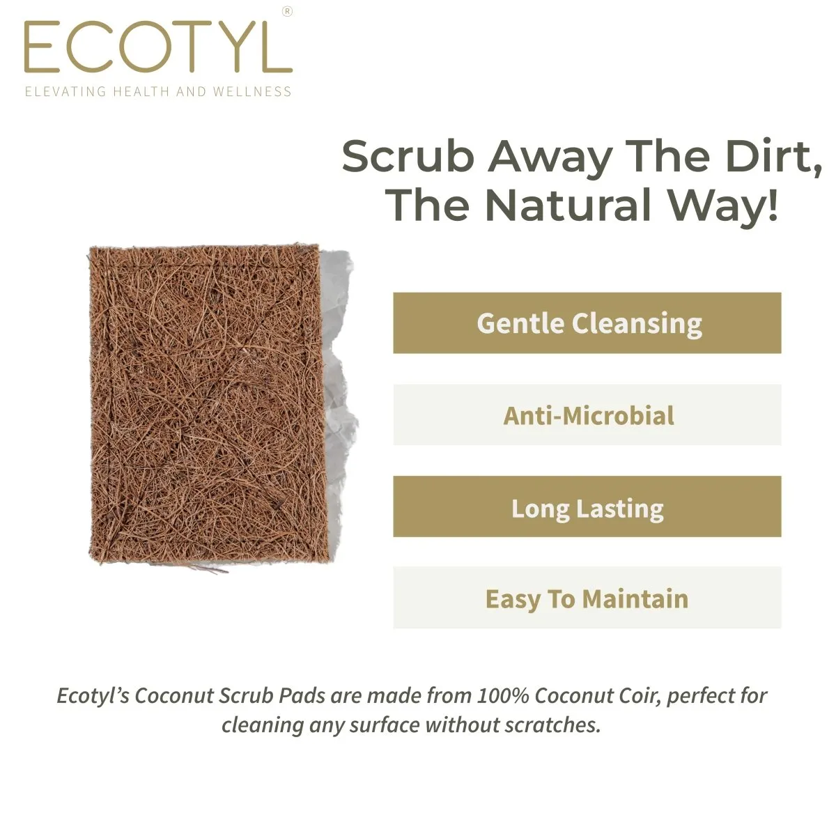 Coconut Scrub Pad - Set of 5