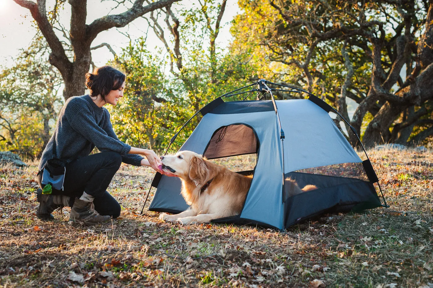 Outdoor Dog Tent